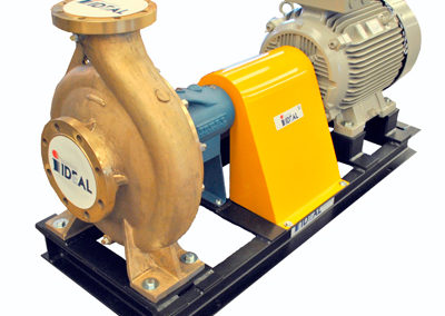 Serie-RNI-Oro