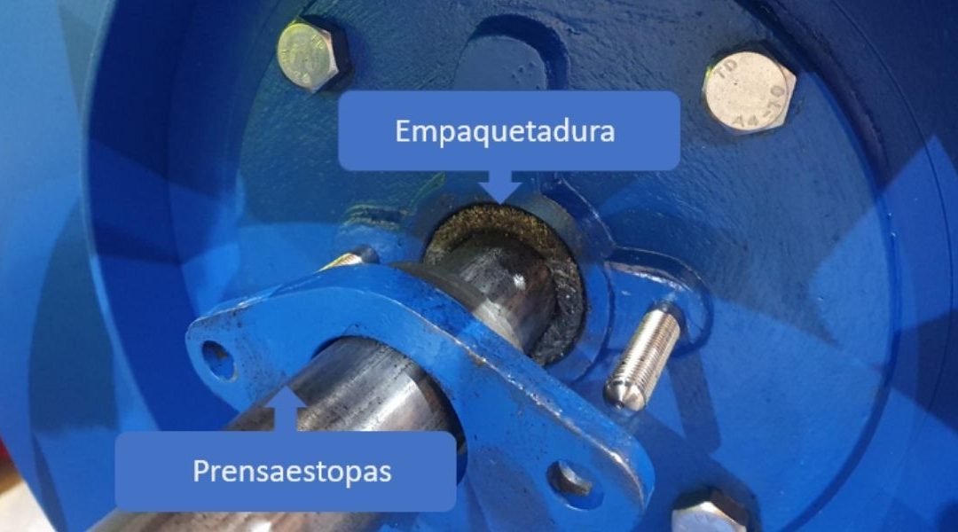 ¿Por qué gotea mi bomba de agua?