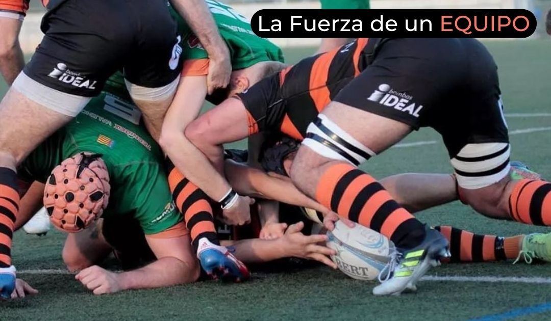 Renovamos nuestro compromiso con el esfuerzo.