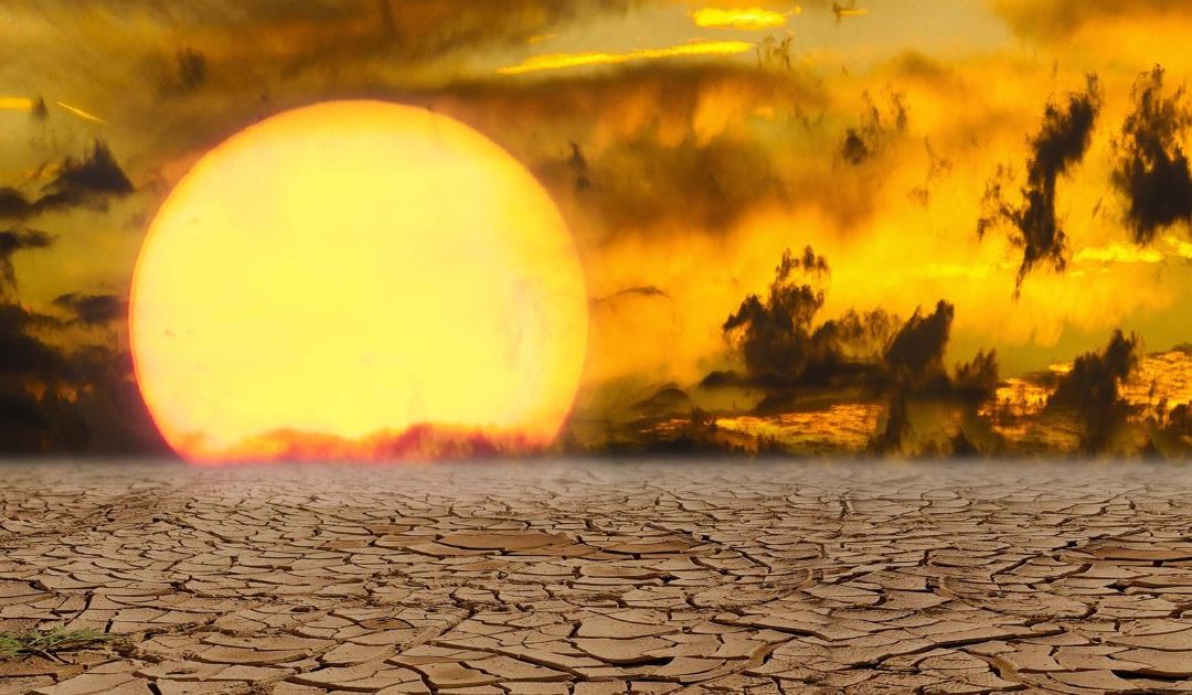 La crisis hídrica: Uno de los puntos clave de la COP27.