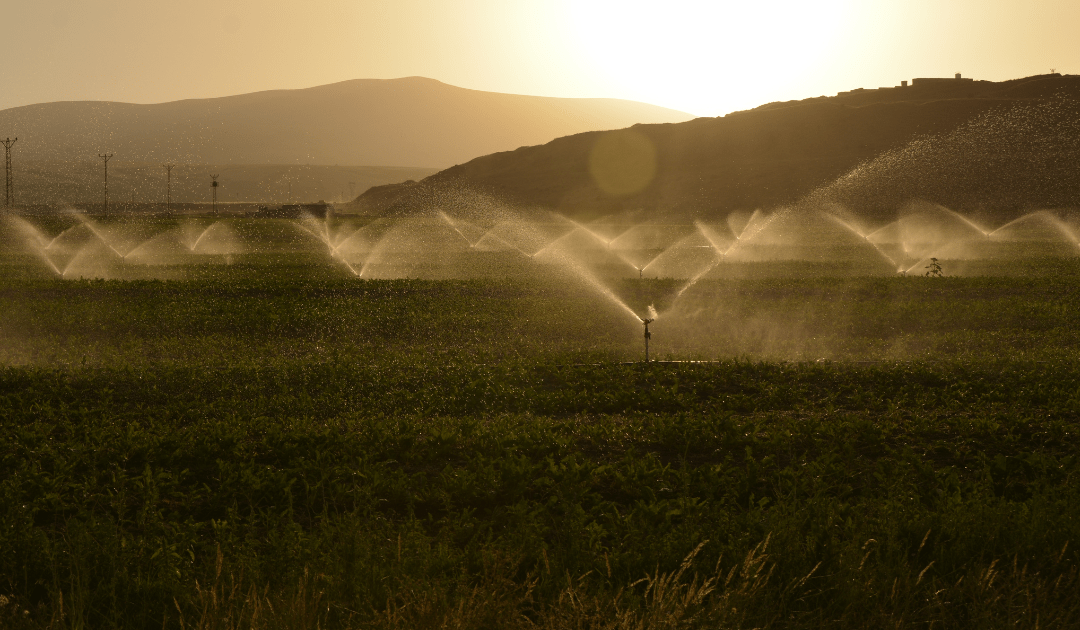 Biomimética aplicada al sector del agua