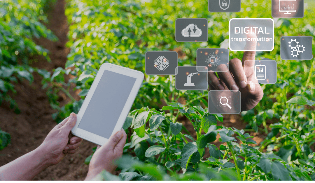 TENDENCIAS: Transformación Digital en el Riego: Eficiencia y Sostenibilidad