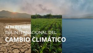 Día Internacional contra el cambio climático
