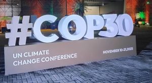 bombas ideal cop 30