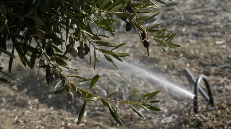 Bombas Ideal con el uso eficiente de agua