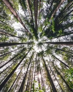 EARTH DAY