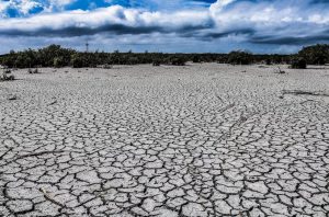 sequía mundial día mundial del medioambiente